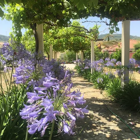 Quinta De Santa Maria D' Arruda Hotel 4*