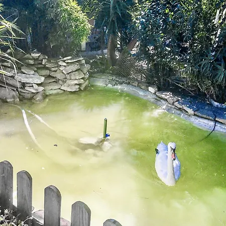 Quinta De Santa Maria D' Arruda 4* Arruda dos Vinhos